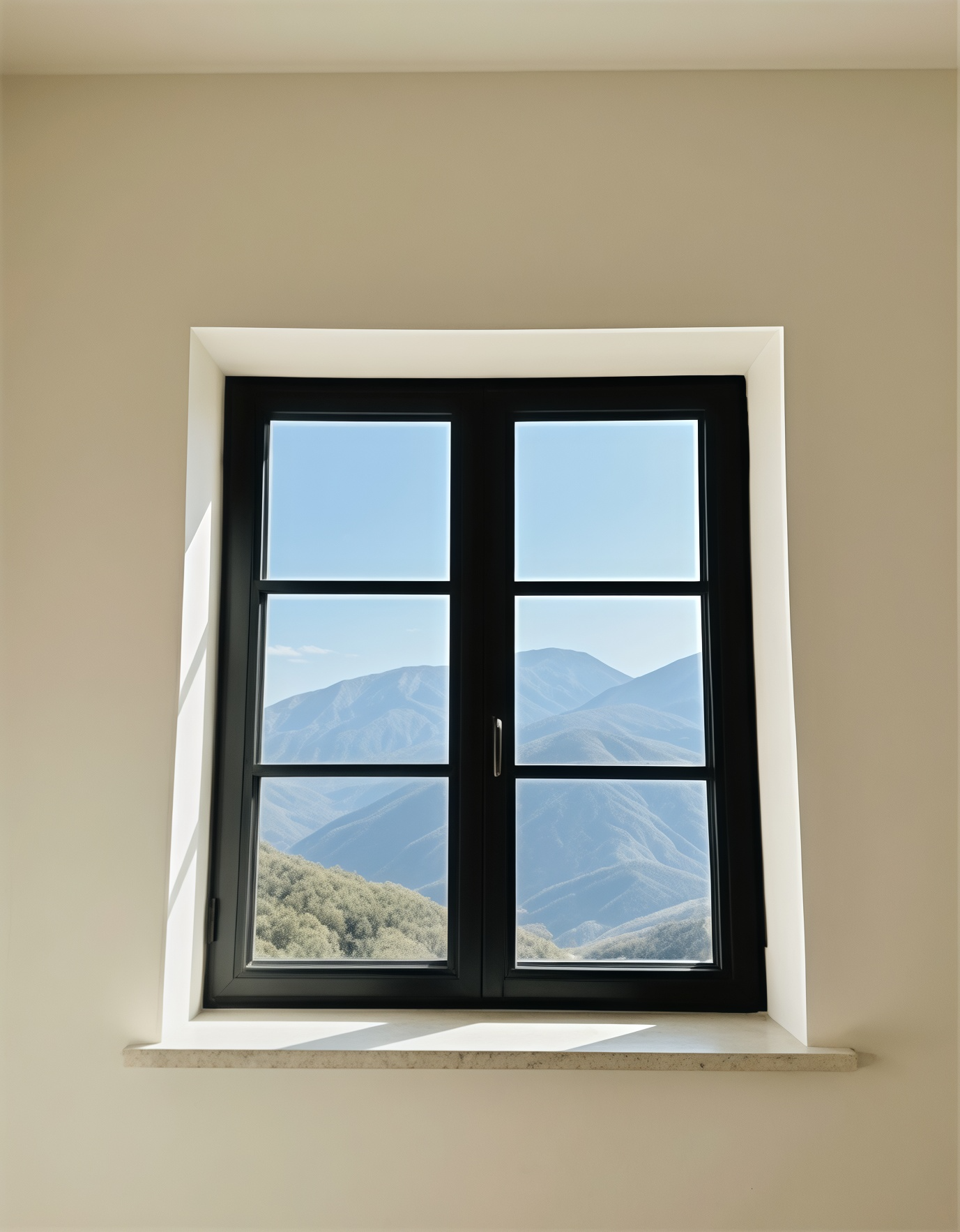 Window